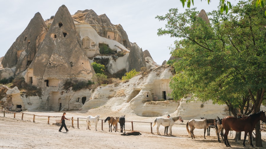 Cappadocia 7